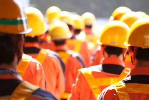 A side view of a plate of figs and berries.